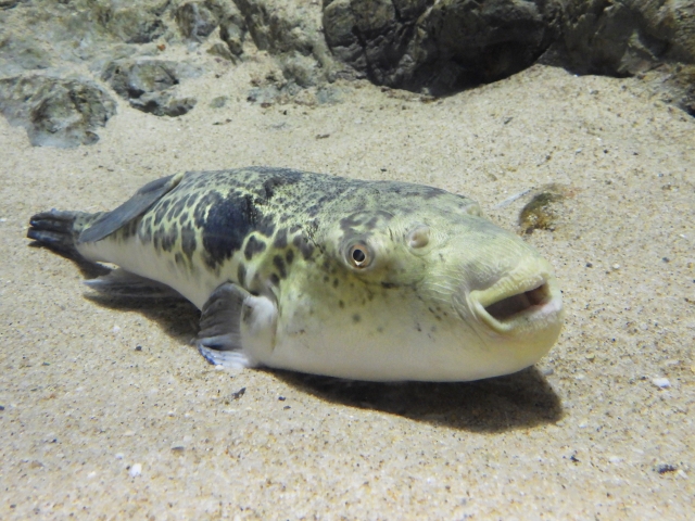 制作者 DAISUKEのプロフィール写真